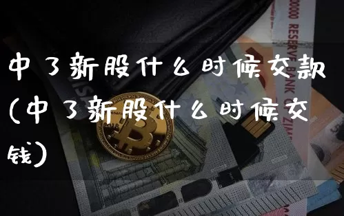 中了新股什么时候交款(中了新股什么时候交钱)_https://www.cangshenghg.com_科创板_第1张