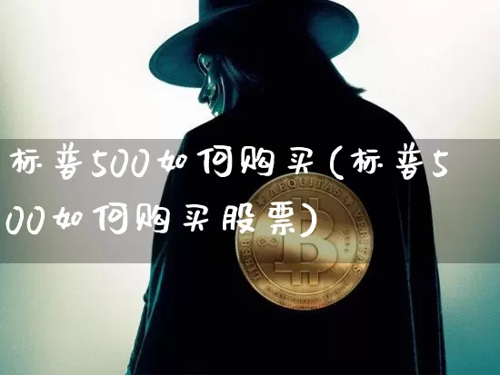 标普500如何购买(标普500如何购买股票)_https://www.cangshenghg.com_科创板_第1张