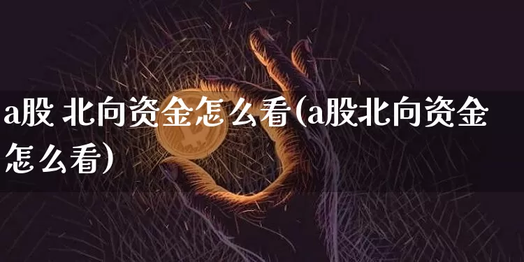 a股 北向资金怎么看(a股北向资金怎么看)_https://www.cangshenghg.com_北交所_第1张