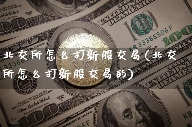 北交所怎么打新股交易(北交所怎么打新股交易的)_https://www.cangshenghg.com_北交所_第1张