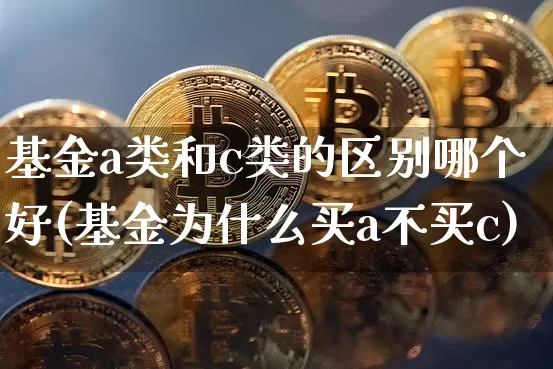 基金a类和c类的区别哪个好(基金为什么买a不买c)_https://www.cangshenghg.com_创业板_第1张