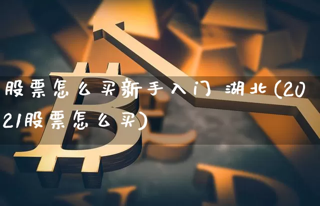 股票怎么买新手入门 湖北(2021股票怎么买)_https://www.cangshenghg.com_北交所_第1张