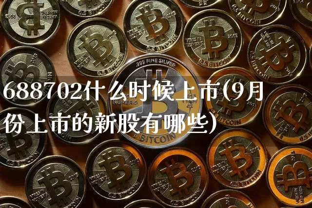 688702什么时候上市(9月份上市的新股有哪些)_https://www.cangshenghg.com_创业板_第1张