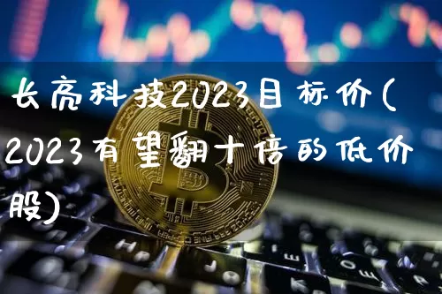 长亮科技2023目标价(2023有望翻十倍的低价股)_https://www.cangshenghg.com_A股_第1张