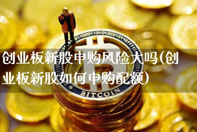 创业板新股申购风险大吗(创业板新股如何申购配额)_https://www.cangshenghg.com_科创板_第1张