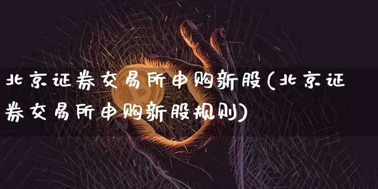 北京证券交易所申购新股(北京证券交易所申购新股规则)_https://www.cangshenghg.com_北交所_第1张