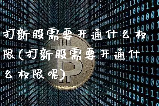 打新股需要开通什么权限(打新股需要开通什么权限呢)_https://www.cangshenghg.com_创业板_第1张