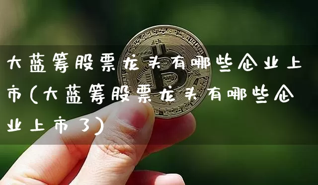 大蓝筹股票龙头有哪些企业上市(大蓝筹股票龙头有哪些企业上市了)_https://www.cangshenghg.com_北交所_第1张