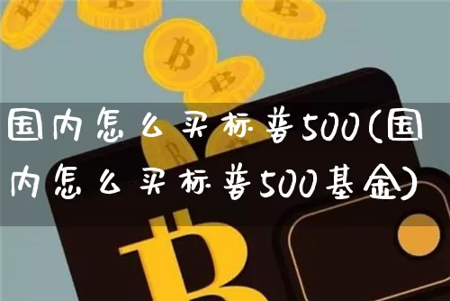 国内怎么买标普500(国内怎么买标普500基金)_https://www.cangshenghg.com_科创板_第1张