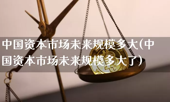 中国资本市场未来规模多大(中国资本市场未来规模多大了)_https://www.cangshenghg.com_北交所_第1张