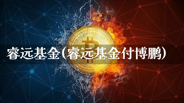 睿远基金(睿远基金付博鹏)_https://www.cangshenghg.com_科创板_第1张