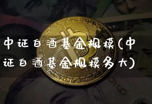 中证白酒基金规模(中证白酒基金规模多大)_https://www.cangshenghg.com_科创板_第1张