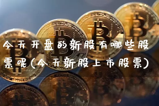 今天开盘的新股有哪些股票呢(今天新股上市股票)_https://www.cangshenghg.com_北交所_第1张