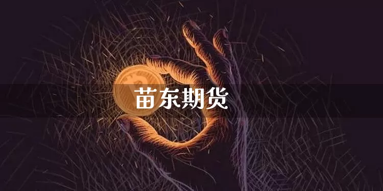 苗东期货_https://www.cangshenghg.com_北交所_第1张