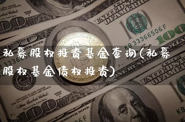 私募股权投资基金查询(私募股权基金债权投资)_https://www.cangshenghg.com_财经新闻_第1张