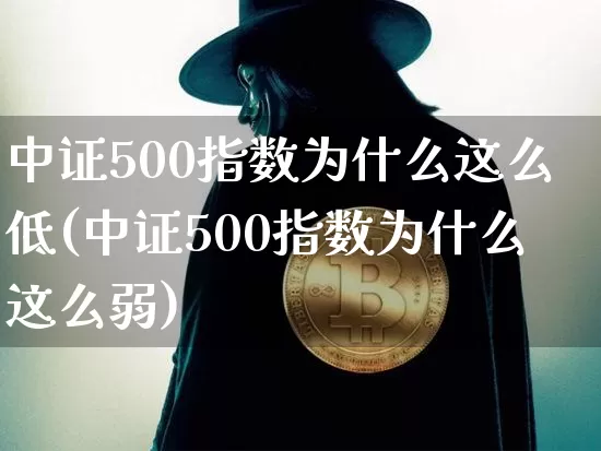 中证500指数为什么这么低(中证500指数为什么这么弱)_https://www.cangshenghg.com_科创板_第1张