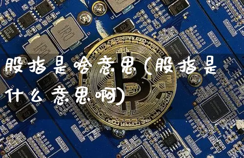 股指是啥意思(股指是什么意思啊)_https://www.cangshenghg.com_科创板_第1张