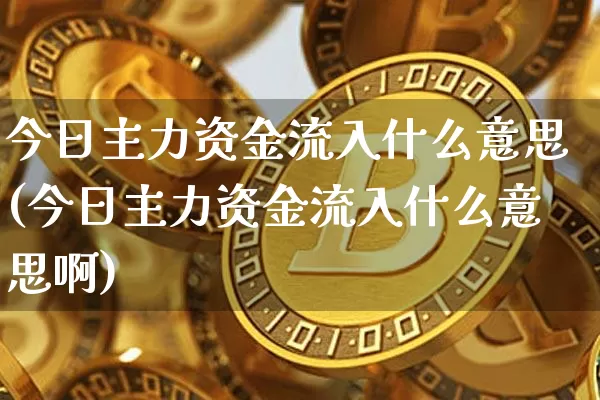 今日主力资金流入什么意思(今日主力资金流入什么意思啊)_https://www.cangshenghg.com_创业板_第1张