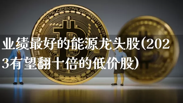 业绩最好的能源龙头股(2023有望翻十倍的低价股)_https://www.cangshenghg.com_财经新闻_第1张