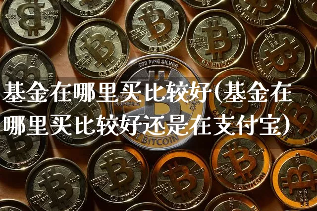 基金在哪里买比较好(基金在哪里买比较好还是在支付宝)_https://www.cangshenghg.com_科创板_第1张