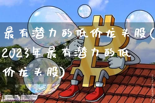 最有潜力的低价龙头股(2023年最有潜力的低价龙头股)_https://www.cangshenghg.com_A股_第1张