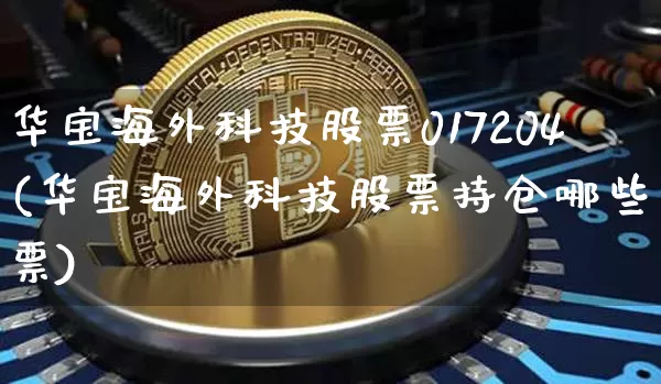 华宝海外科技股票017204(华宝海外科技股票持仓哪些股票)_https://www.cangshenghg.com_科创板_第1张