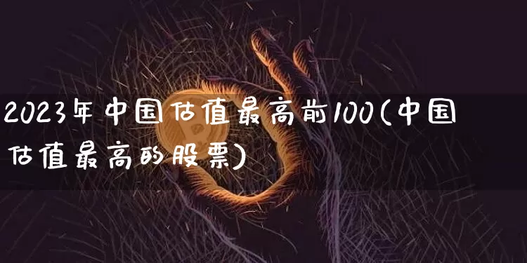 2023年中国估值最高前100(中国估值最高的股票)_https://www.cangshenghg.com_科创板_第1张