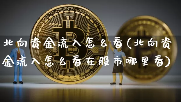 北向资金流入怎么看(北向资金流入怎么看在股市哪里看)_财经新闻_第1张_华信财经网 北向资金流入怎么看(北向资金流入怎么看在股市哪里看)_https://www.cangshenghg.com_财经新闻_第1张