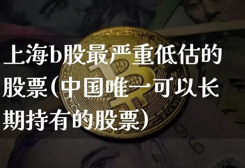 上海b股最严重低估的股票(中国唯一可以长期持有的股票)_https://www.cangshenghg.com_创业板_第1张