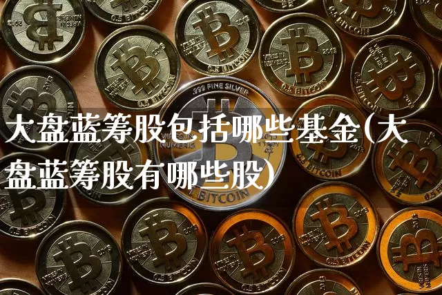 大盘蓝筹股包括哪些基金(大盘蓝筹股有哪些股)_https://www.cangshenghg.com_科创板_第1张