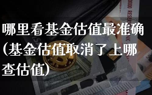 哪里看基金估值最准确(基金估值取消了上哪查估值)_https://www.cangshenghg.com_北交所_第1张