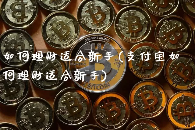 如何理财适合新手(支付宝如何理财适合新手)_https://www.cangshenghg.com_北交所_第1张