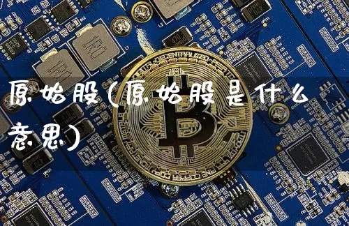 原始股(原始股是什么意思)_https://www.cangshenghg.com_A股_第1张