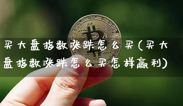 买大盘指数涨跌怎么买(买大盘指数涨跌怎么买怎样赢利)_https://www.cangshenghg.com_科创板_第1张