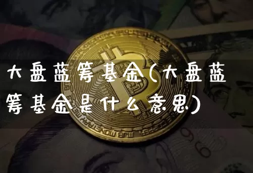 大盘蓝筹基金(大盘蓝筹基金是什么意思)_https://www.cangshenghg.com_北交所_第1张