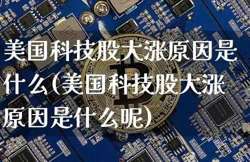 美国科技股大涨原因是什么(美国科技股大涨原因是什么呢)_https://www.cangshenghg.com_科创板_第1张