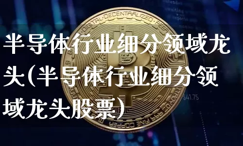 半导体行业细分领域龙头(半导体行业细分领域龙头股票)_https://www.cangshenghg.com_财经新闻_第1张
