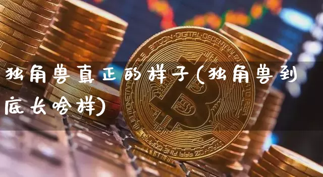 独角兽真正的样子(独角兽到底长啥样)_https://www.cangshenghg.com_A股_第1张