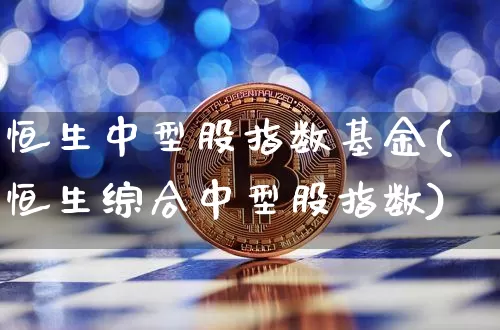 恒生中型股指数基金(恒生综合中型股指数)_https://www.cangshenghg.com_北交所_第1张