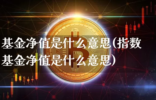 基金净值是什么意思(指数基金净值是什么意思)_https://www.cangshenghg.com_北交所_第1张