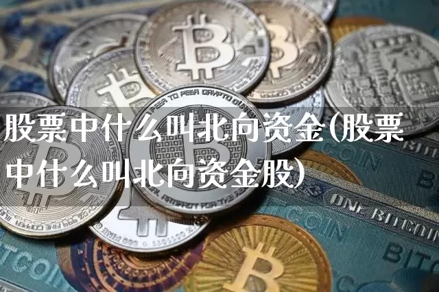 股票中什么叫北向资金(股票中什么叫北向资金股)_https://www.cangshenghg.com_财经新闻_第1张