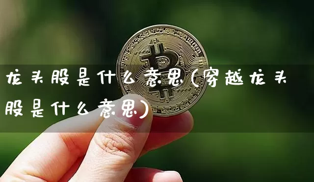 龙头股是什么意思(穿越龙头股是什么意思)_https://www.cangshenghg.com_科创板_第1张