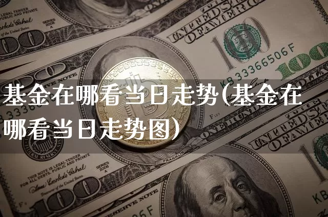 基金在哪看当日走势(基金在哪看当日走势图)_https://www.cangshenghg.com_科创板_第1张