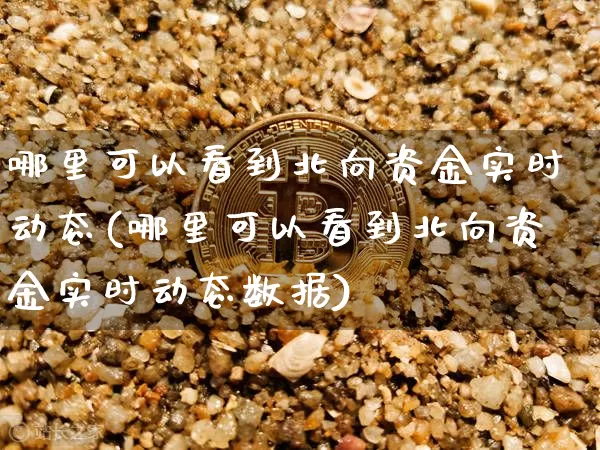哪里可以看到北向资金实时动态(哪里可以看到北向资金实时动态数据)_https://www.cangshenghg.com_北交所_第1张