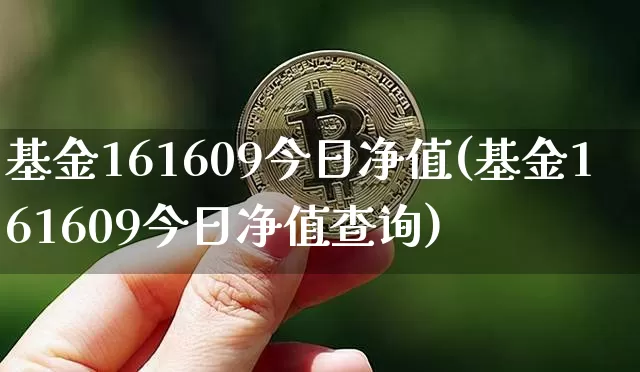 基金161609今日净值(基金161609今日净值查询)_https://www.cangshenghg.com_科创板_第1张