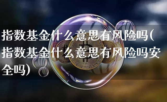 指数基金什么意思有风险吗(指数基金什么意思有风险吗安全吗)_https://www.cangshenghg.com_科创板_第1张