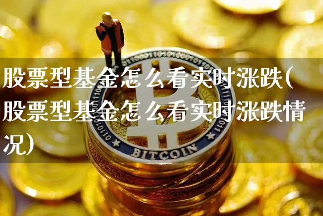 股票型基金怎么看实时涨跌(股票型基金怎么看实时涨跌情况)_https://www.cangshenghg.com_科创板_第1张