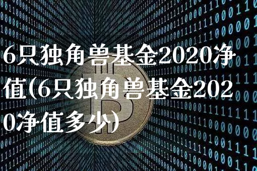 6只独角兽基金2020净值(6只独角兽基金2020净值多少)_https://www.cangshenghg.com_创业板_第1张