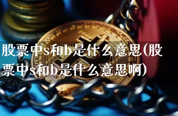 股票中s和b是什么意思(股票中s和b是什么意思啊)_https://www.cangshenghg.com_财经新闻_第1张