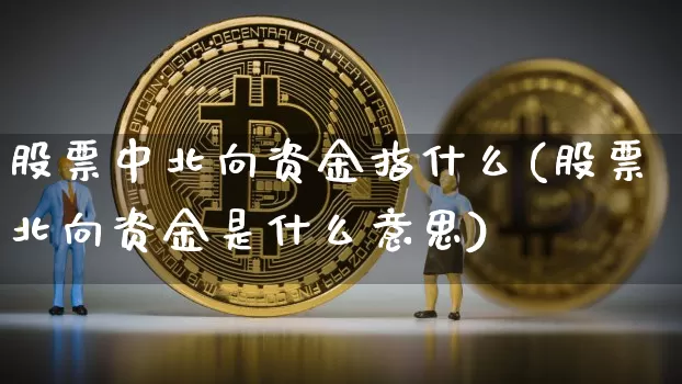 股票中北向资金指什么(股票北向资金是什么意思)_https://www.cangshenghg.com_创业板_第1张